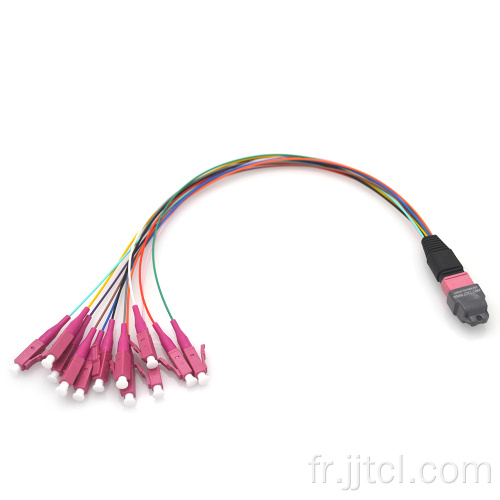 MPO-LC 12F OM4 VIOLET 0,9 mm HYDRA Cable